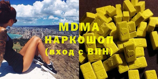 индика Алексин