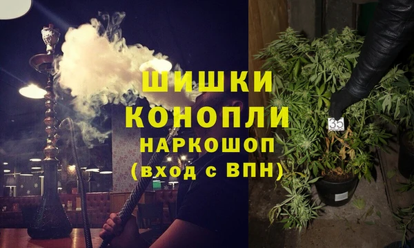 молекула духа Снежинск