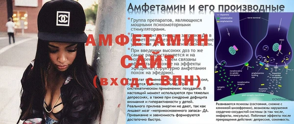 индика Алексин