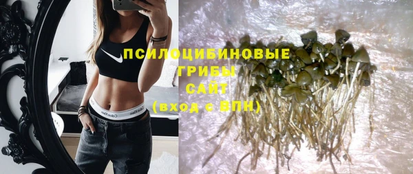 индика Алексин