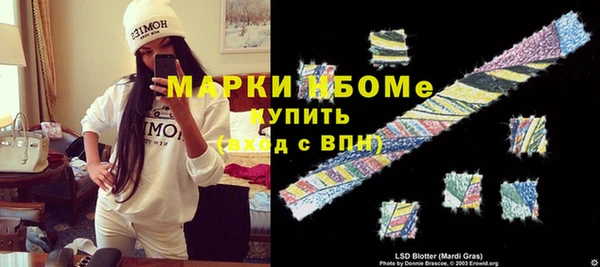 индика Алексин